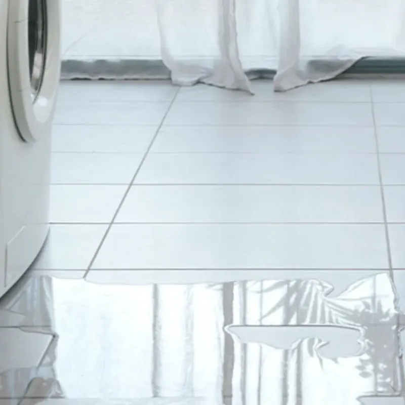 Appliance Leak Cleanup in Wood County, WI