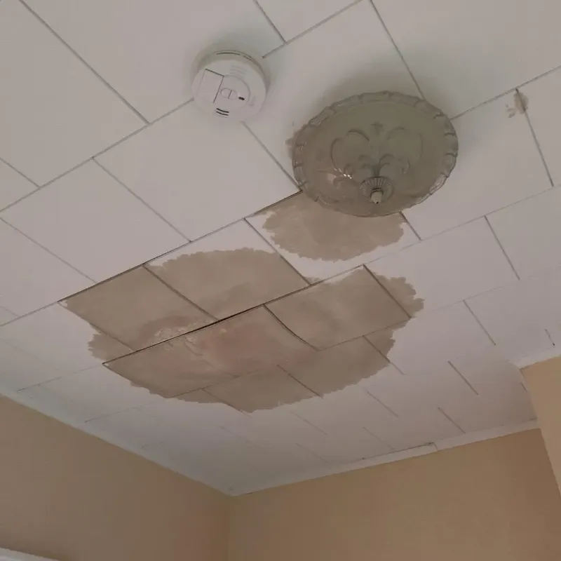 Ceiling Water Damage Repair in Wood County, WI