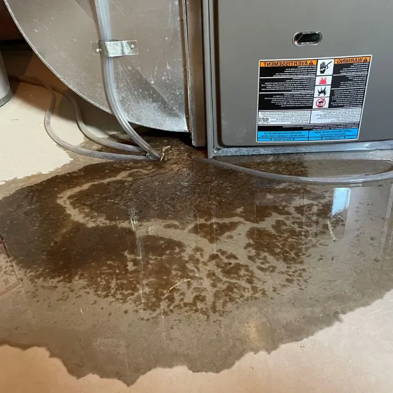 Pipe Burst and Leak Restoration in Wood County, WI